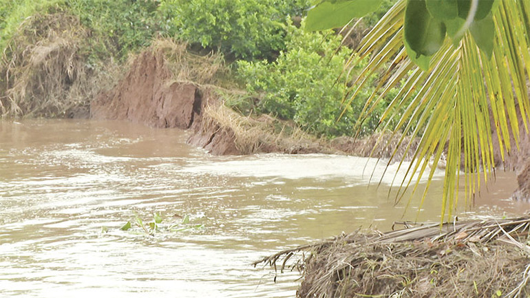 3-Một vụ sạt lở đã nhấn chìm 3.000 m2 đất vườn của ba hộ dân tại ấp An Hòa, xã An Hiệp, huyện Châu Thành, tỉnh Đồng Tháp. 3-Một vụ sạt lở đã nhấn chìm 3.000 m2 đất vườn của ba hộ dân tại ấp An Hòa, xã An Hiệp, huyện Châu Thành, tỉnh Đồng Tháp.