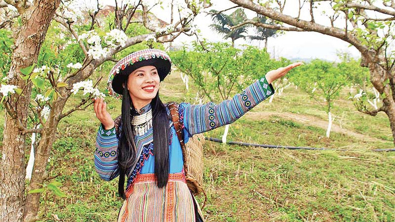 Du khách trong trang phục thổ cẩm truyền thống, rạng ngời bên sắc trắng hoa lê. Du khách trong trang phục thổ cẩm truyền thống, rạng ngời bên sắc trắng hoa lê.