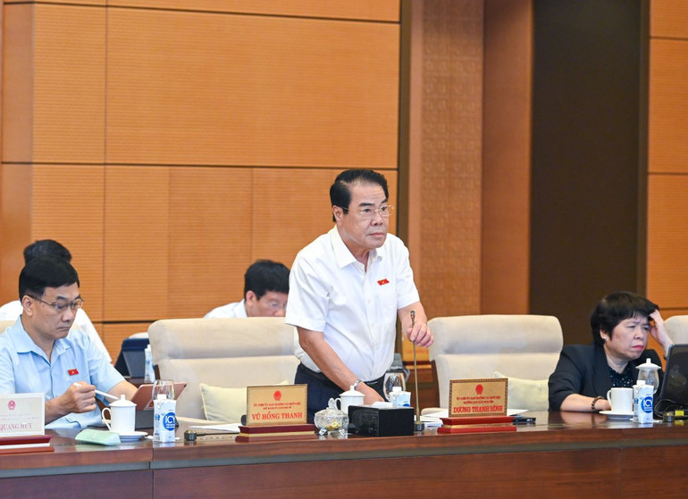 Trưởng ban Dân nguyện Dương Thanh Bình trình bày báo cáo tổng kết, rà soát.