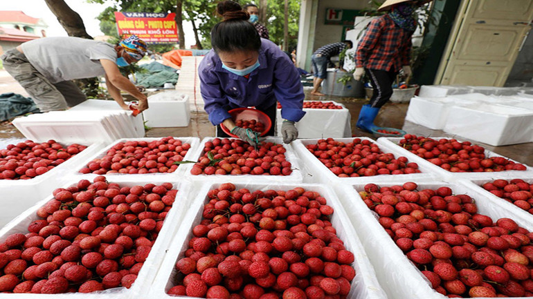 Nông sản Việt còn nhiều tiềm năng ở thị trường Trung Quốc.