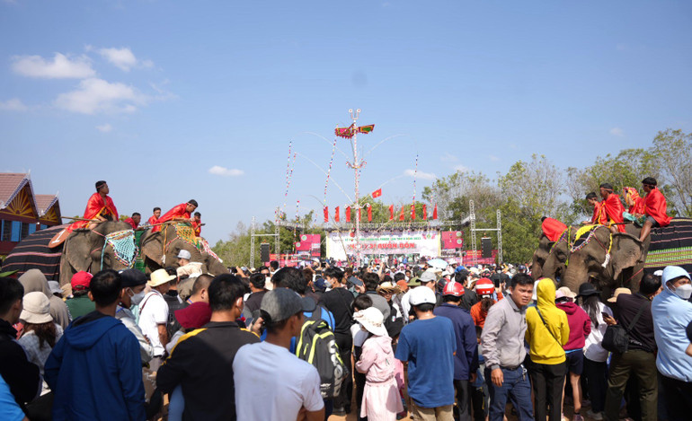 Hội voi Buôn Đôn năm 2023 thu hút hàng đông đảo người dân địa phương và du khách thập phương đến ngắm voi và vui chơi.