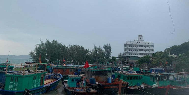 Các tàu thuyền đã được neo đậu an toàn tại cầu Cảng Cô Tô.