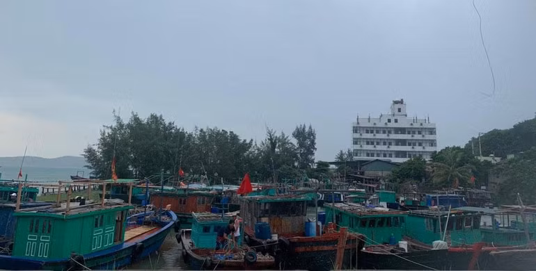 Các tàu thuyền đã được neo đậu an toàn tại cầu Cảng Cô Tô.