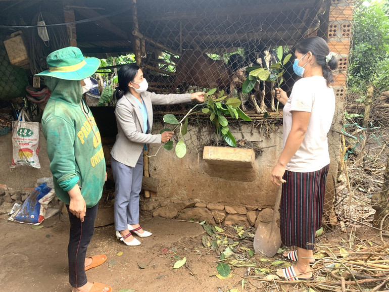 Cán bộ Hội phụ nữ xã Ea Tul, huyện Cư M’gar hướng dẫn hội viên người dân tộc thiểu số cách chăm sóc đàn dê để phát triển kinh tế gia đình.