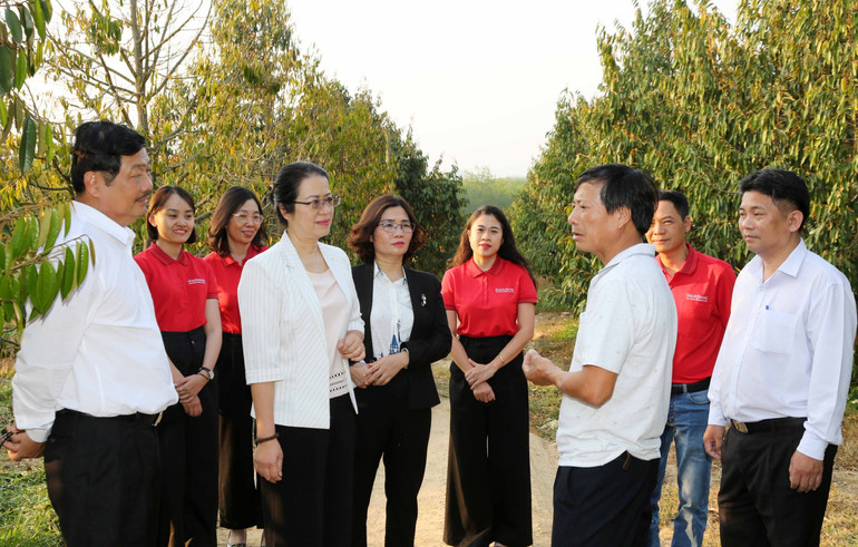 Ông Bùi Văn Quyển (áo trắng thứ hai từ phải sang) giới thiệu với Đoàn cán bộ Agribank về mô hình trồng sầu riêng được hình thành nên từ vốn vay ngân hàng.