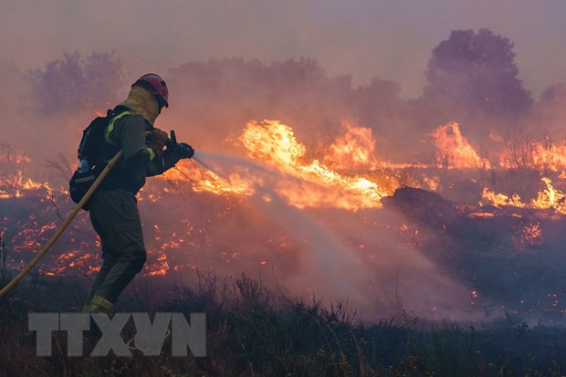 Lính cứu hỏa nỗ lực dập đám cháy rừng tại Pumarejo de Tera, gần Zamora, miền Bắc Tây Ban Nha, ngày 18/6/2022. (Ảnh: AFP/TTXVN)