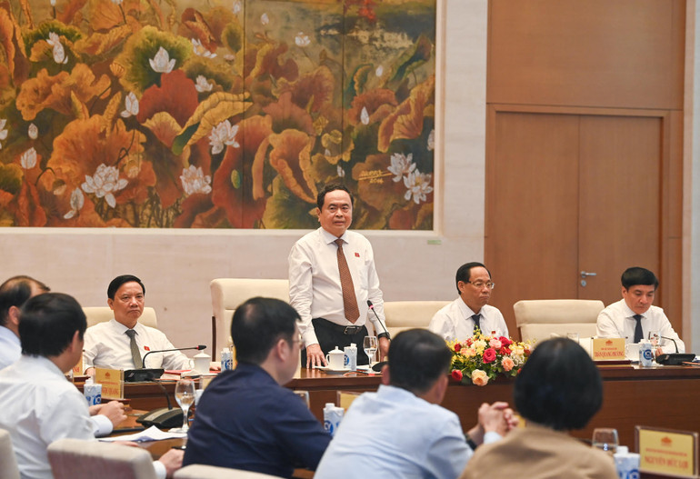 Chủ tịch Quốc hội Trần Thanh Mẫn phát biểu tại cuộc gặp mặt.