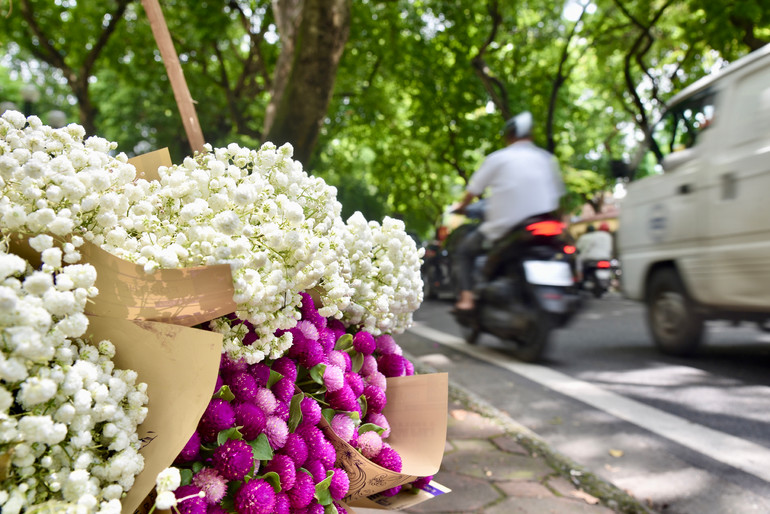 Giá của mỗi loại hoa giao động từ 120.000-150.000/bó. Giá của mỗi loại hoa giao động từ 120.000-150.000/bó.