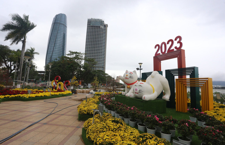 Nhiều biểu cảm, sắc thái vui nhộn của mèo.