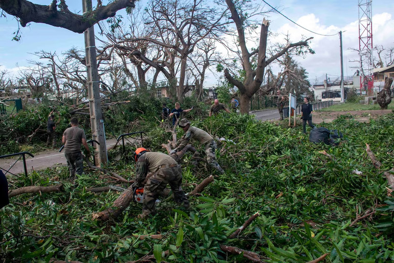 Quân đội giúp thu dọn cây đổ sau bão Chido, ở Mayotte, Pháp. Ảnh: Reuters Quân đội giúp thu dọn cây đổ sau bão Chido, ở Mayotte, Pháp. Ảnh: Reuters