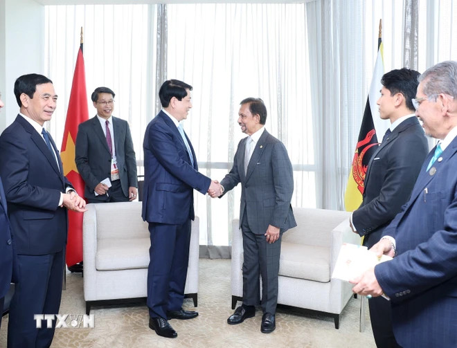 Chủ tịch nước Lương Cường gặp Quốc vương Brunei Hassanal Bolkiah.