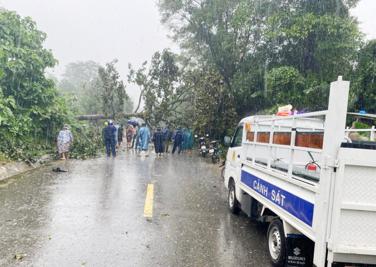 Lực lượng chức năng dọn dẹp cây đổ do bão số 4 tại Km309, thuộc quốc lộ 14 địa phận xã A Bung, huyện miền núi Đakrông.