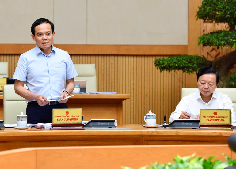 Phó Thủ tướng Trần Lưu Quang phát biểu.