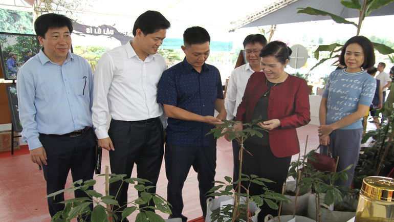 Bí thư Tỉnh ủy Lai Châu Giàng Páo Mỷ thăm các không gian trưng bày tại Ngày hội.
