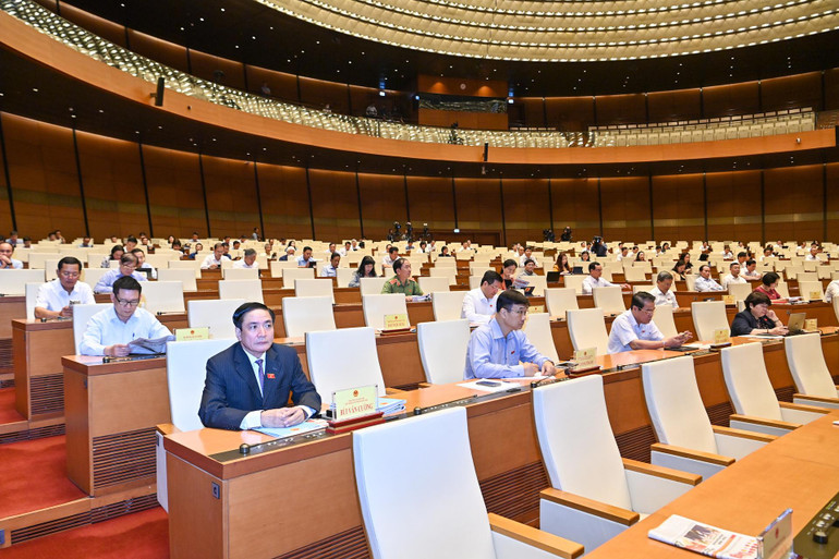 Các đại biểu Quốc hội dự phiên chất vấn. (Ảnh Duy Linh)