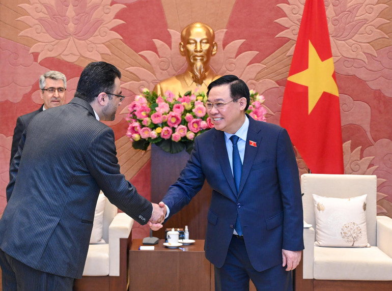 Chủ tịch Quốc hội Vương Đình Huệ và Đại sứ quán Iran tại buổi tiếp.