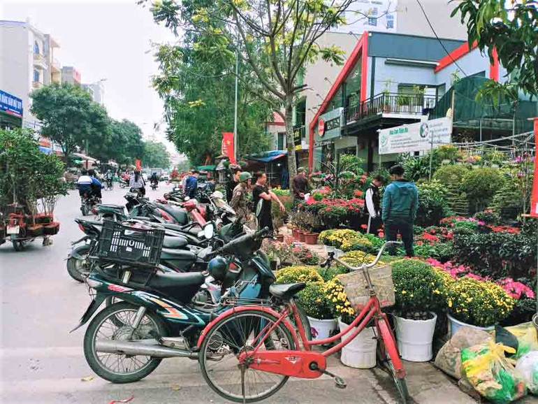 Hoa Tết trước chợ.