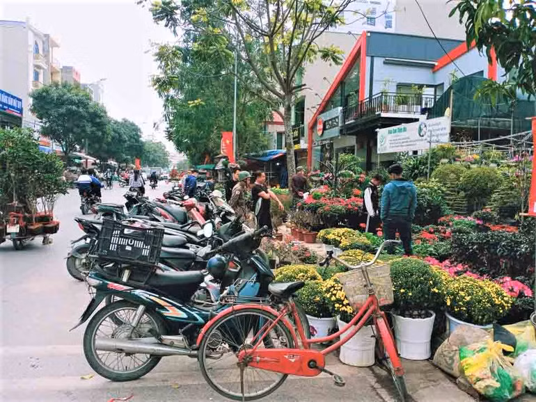 Hoa Tết trước chợ. Hoa Tết trước chợ.