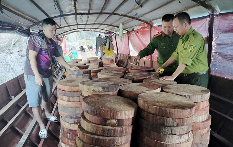 Khi lực lượng chức năng kiểm tra, chủ thuyền và chủ gỗ đã trình 3 bộ hồ sơ phát mại gỗ từ năm 2016 và 2021.