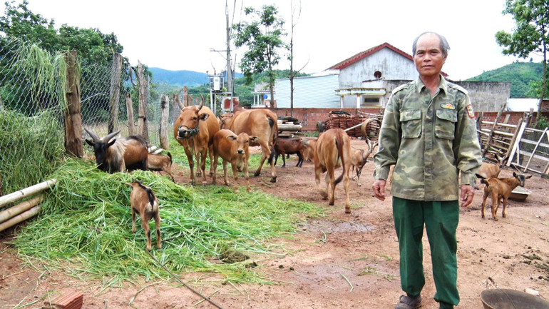 Nguồn quỹ “Nghĩa tình đồng đội” đã hỗ trợ vốn giúp nhiều hộ gia đình cựu chiến binh có hoàn cảnh khó khăn phát triển chăn nuôi.