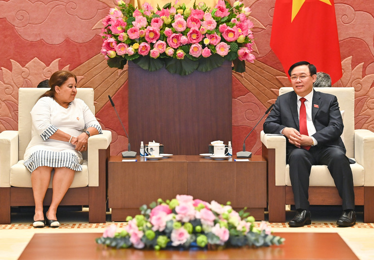 Chủ tịch Quốc hội Vương Đình Huệ phát biểu tại buổi tiếp Tổng Thư ký Hội Liên hiệp Phụ nữ Cuba Teresa Amarelle Boué.