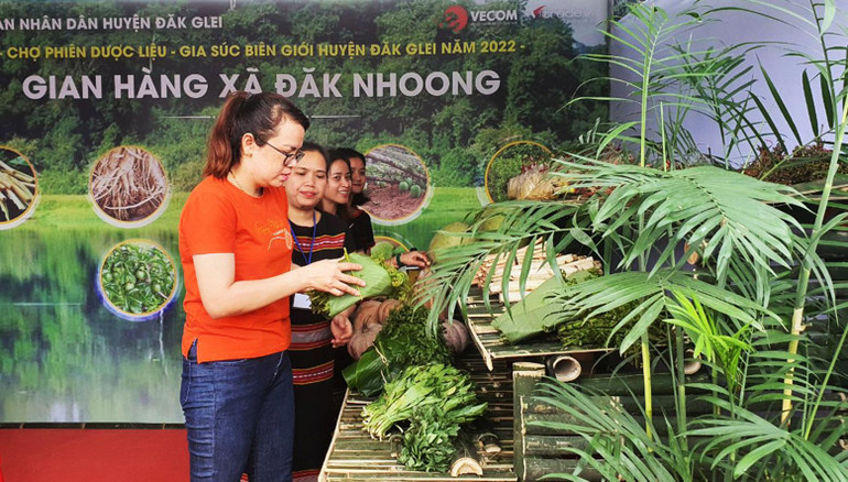 Nhiều loại thảo dược rừng được mang đến giới thiệu cho người dân. Nhiều loại thảo dược rừng được mang đến giới thiệu cho người dân.