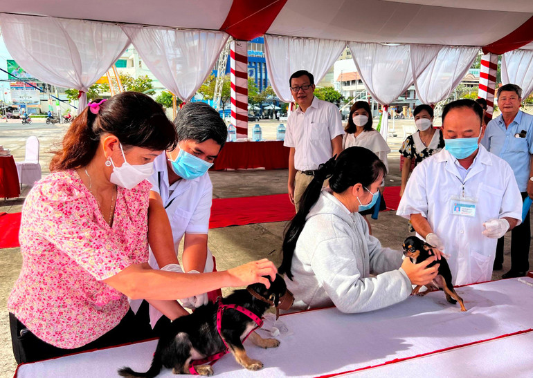 Người dân mang chó đến tiêm vaccine miễn phí.