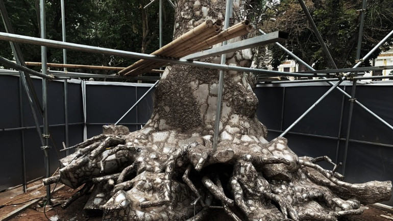 Tạo hình rễ cho tác phẩm.