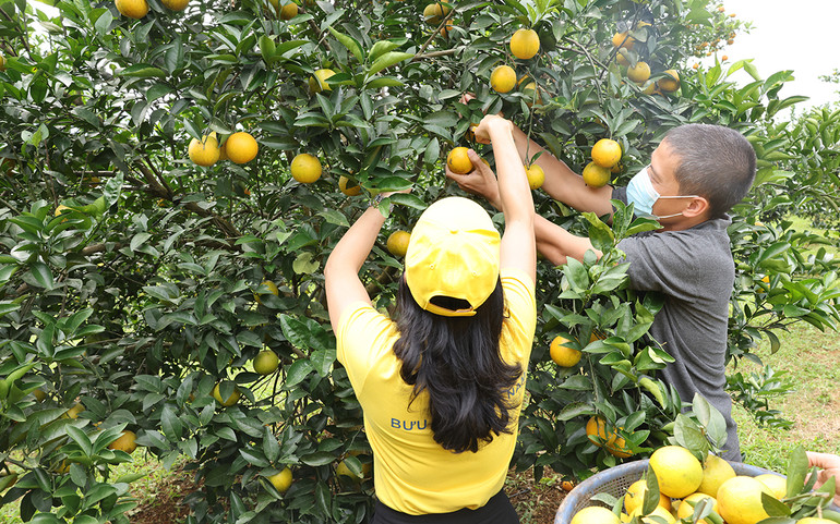 Điều cốt yếu là phải đầu tư cho bảo quản và vận chuyển để giữ được chất lượng nông sản. Điều cốt yếu là phải đầu tư cho bảo quản và vận chuyển để giữ được chất lượng nông sản.