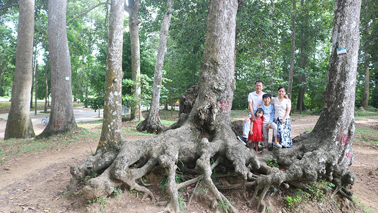 Ao Bà Om, Phường 8, thành phố Trà Vinh (Trà Vinh) với hàng trăm cây cổ thụ trăm năm tuổi.
