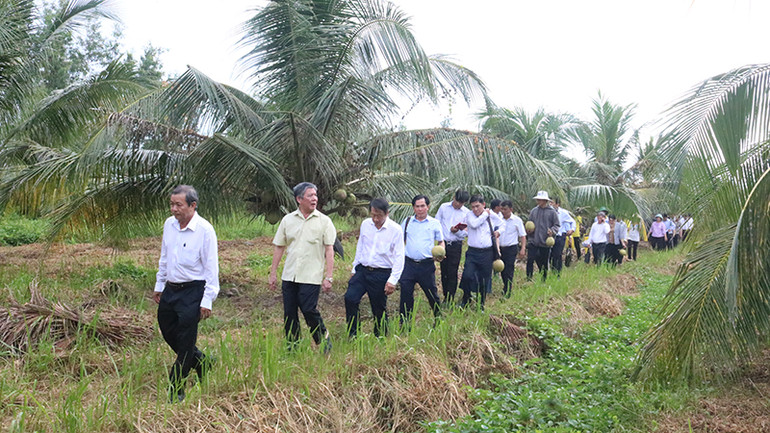 Đoàn công tác của Tỉnh ủy Trà Vinh khảo sát tại khu nghiên cứu dừa sáp cấy mô của Trường đại học Trà Vinh.