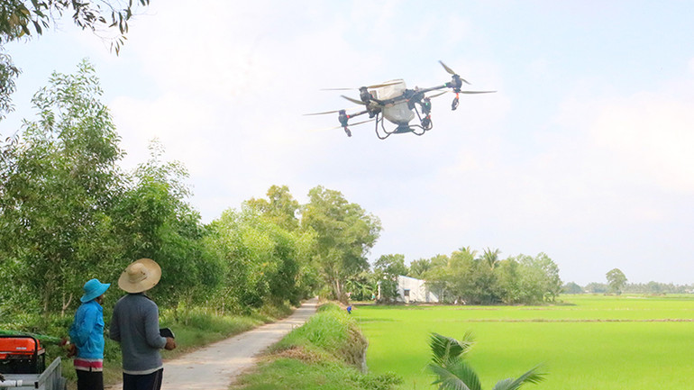Nông dân Khmer tỉnh Trà Vinh sử dụng thiết bị không người lái bón phân cho ruộng lúa. Nông dân Khmer tỉnh Trà Vinh sử dụng thiết bị không người lái bón phân cho ruộng lúa.