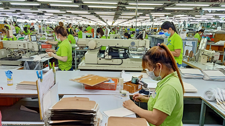 Các doanh nghiệp trên địa bàn tỉnh Trà Vinh hiện còn nợ đóng bảo hiểm y tế với hơn 2.800 công nhân, lao động. Các doanh nghiệp trên địa bàn tỉnh Trà Vinh hiện còn nợ đóng bảo hiểm y tế với hơn 2.800 công nhân, lao động.