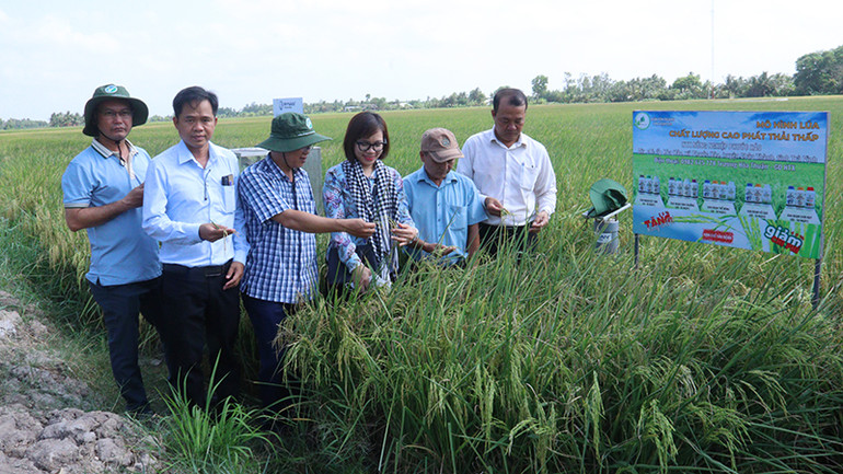 Đại biểu tham quan mô hình canh tác lúa phát thải thấp tại xã Phước Hảo, huyện Châu Thành, tỉnh Trà Vinh.