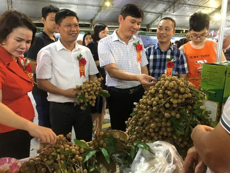 Các gian hàng trưng bày các giống nhãn ở Hưng Yên.