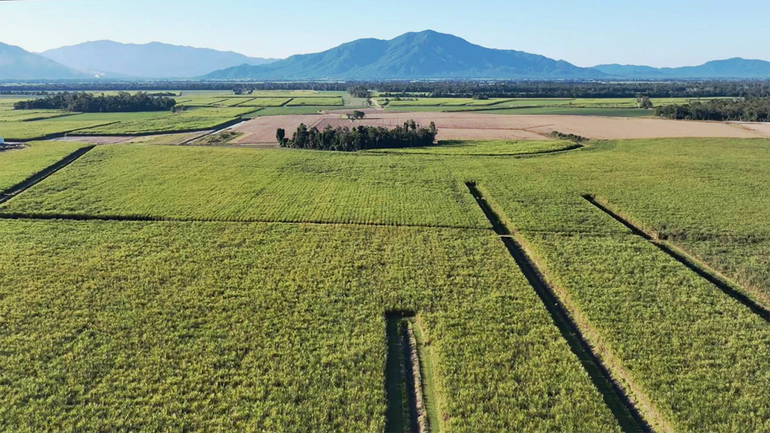 Vùng nguyên liệu mía của SBT tại Tully, bang Queensland, Australia.