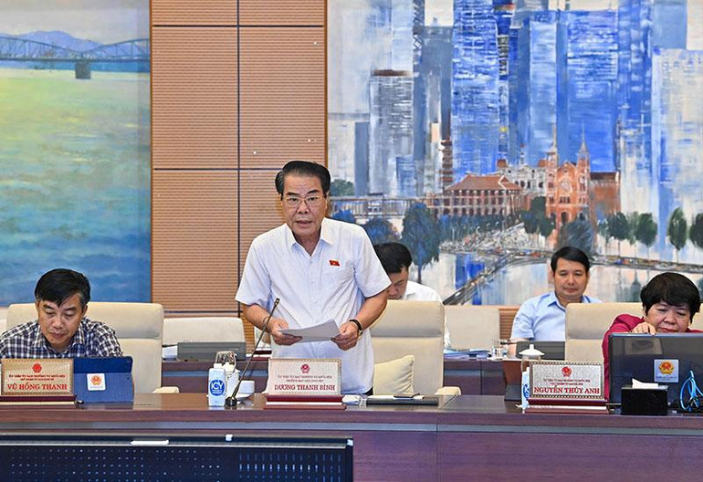 Trưởng ban Dân nguyện Dương Thanh Bình trình bày báo cáo tại phiên họp.