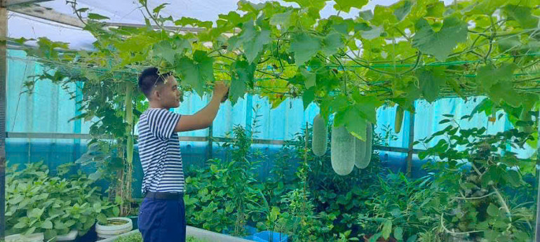 Bộ đội Trường Sa đang chăm sóc vườn rau xanh