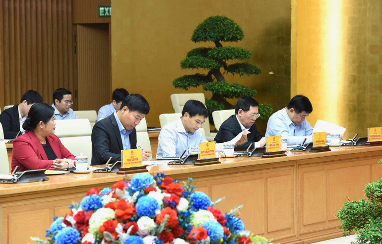 Các đại biểu tham dự Hội nghị.