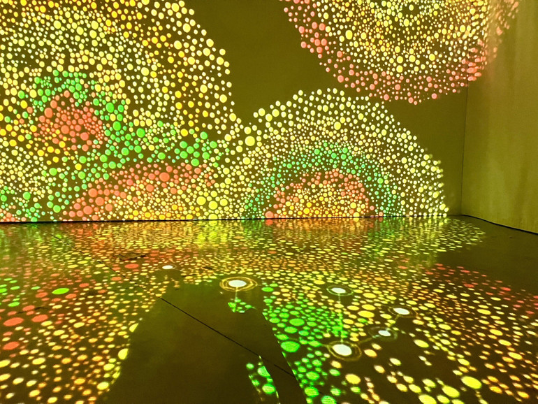 Một màn màn trình chiếu ánh sáng độc đáo tại triển lãm. (Ảnh: Đại sứ quán Australia tại Hà Nội)