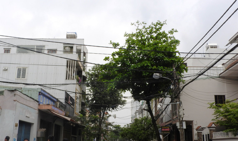 Nhiều tuyến đường đã được cải tạo, nhưng hệ thống điện và dây cáp quang chằng chịt, mất an toàn.