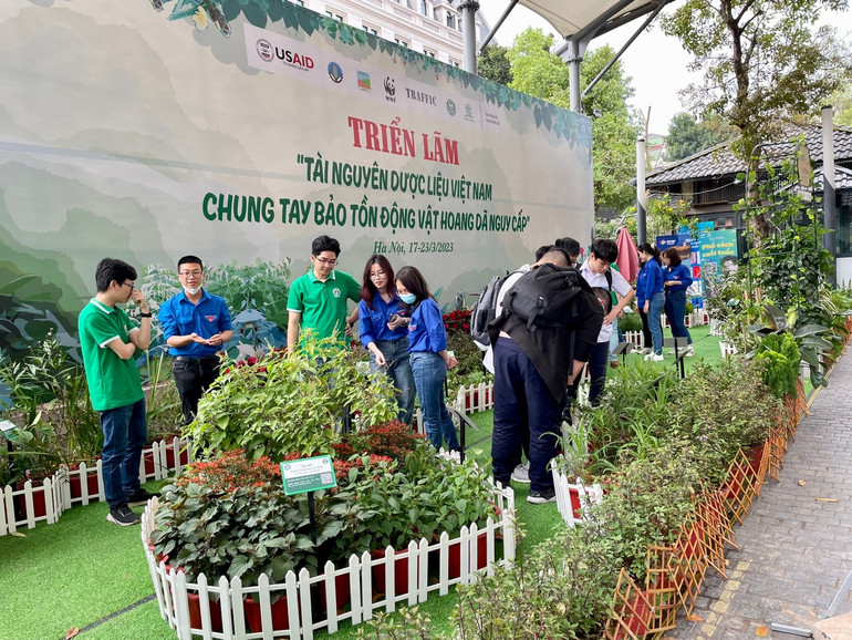 Một góc mô hình vườn cây thuốc tại Phố Sách Hà Nội.