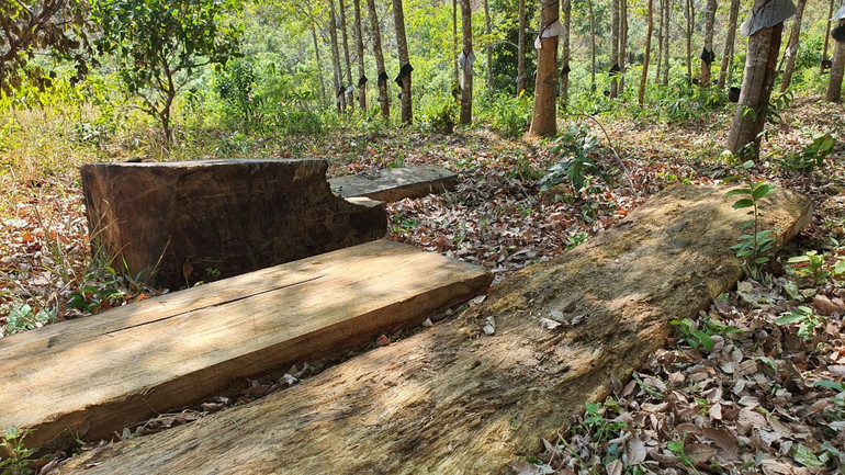 4 khối gỗ và phản được tìm thấy tại điểm tập kết thứ 2.