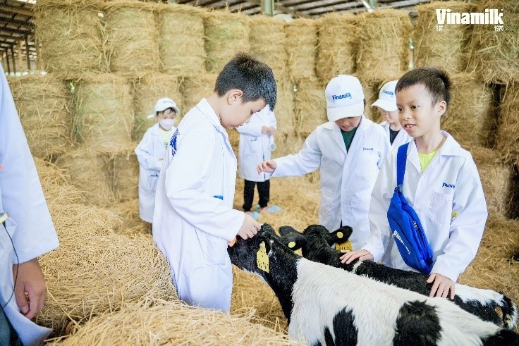 Trong chuyến hành trình, khu vực chuồng chăm sóc bê là nơi các bạn nán lại lâu nhất. Em Nguyễn Thanh Bảo Duy (TP.HCM) cho biết: “Khi đến đây, em cảm thấy trang trại thật sự rất đẹp, có những thứ mà em không ngờ tới như có hồ điều hòa lớn, có quạt mát. Bò bê cũng được đeo chip rất hiện đại… Em thấy rất ngạc nhiên khi có nhiều công nghệ thông minh được áp dụng như vậy”.