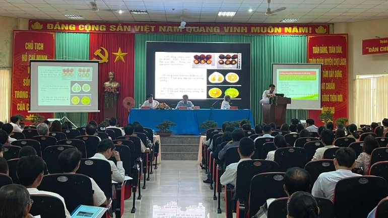 Lãnh đạo địa phương tham dự hội thảo xây dựng, hoàn thiện chuỗi giá trị cây giống và hoa kiểng. Lãnh đạo địa phương tham dự hội thảo xây dựng, hoàn thiện chuỗi giá trị cây giống và hoa kiểng.