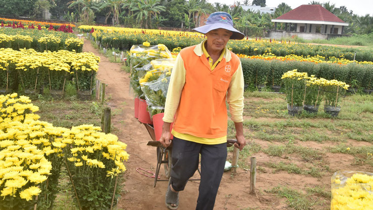 Vận chuyển hoa. Vận chuyển hoa.