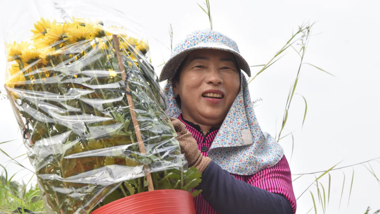 Nụ cười người trồng hoa trúng mùa. Nụ cười người trồng hoa trúng mùa.