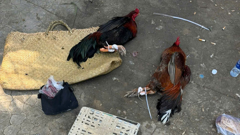 Tang vật tại hiện trường.