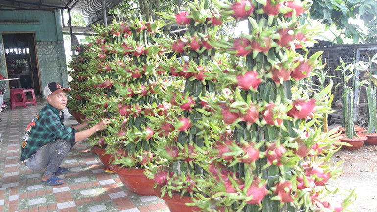 Sau khi tạo xong, anh Lê Văn Phước kiểm tra độ thẩm mỹ lần cuối trước khi giao cho khách.