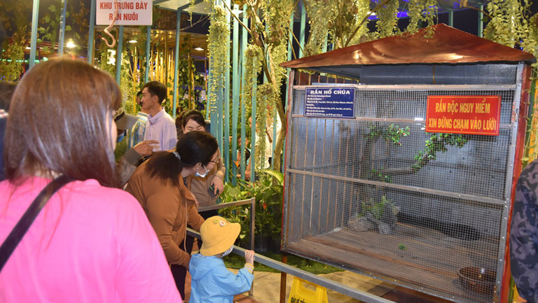 Rắn thật được trưng bày đã tạo nên điểm khác biệt của đường hoa Xuân ở Tiền Giang.